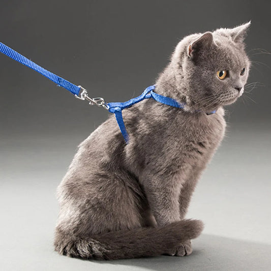Dog Harness and Leash Set for Cats, Adjustable