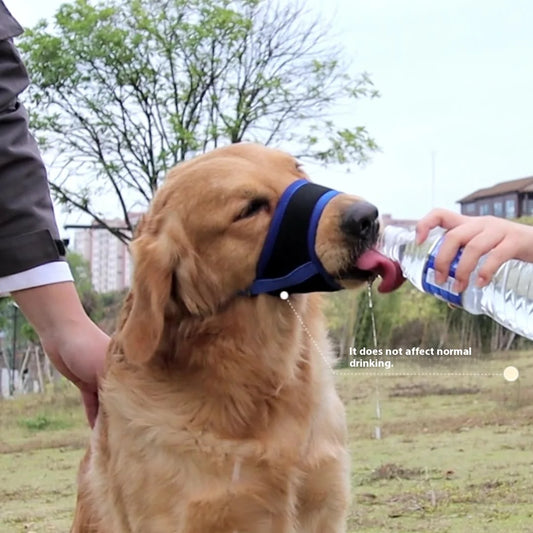 Comfortable Breathable Adjustable Dog Muzzle Anti-Bite Anti-Eating Pet Muzzle for Small Medium Large Dogs Allows Drinking
