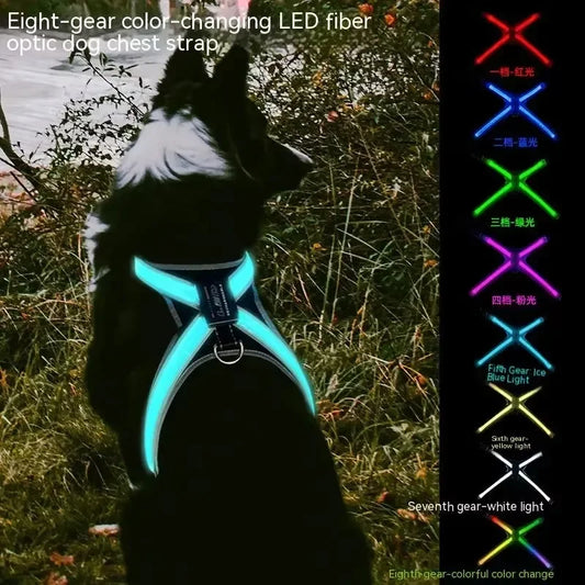 Reflective Dog Harness with LED Light, Adjustable
