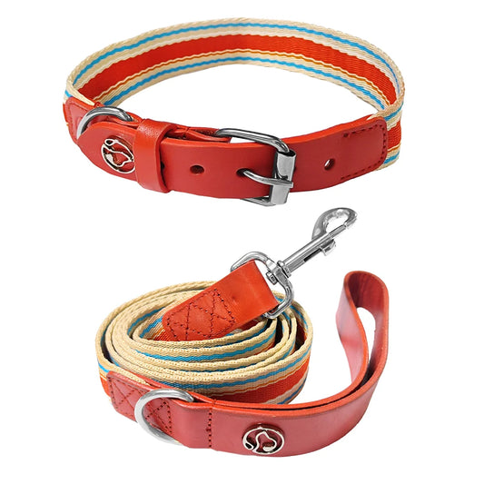 Adjustable Dog Collar and Leash Set for Small, Medium, and Large Dogs