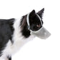 Pet Dog Muzzles Adjustable Breathable Dog Mouth Cover Anti Bark Bite Mesh Dogs Mouth Muzzle Mask For Dogs Long Mouth Doggy Use