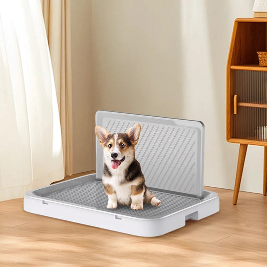 Dog Potty Tray with Pee Wall Anti | Fast Shipping from USA