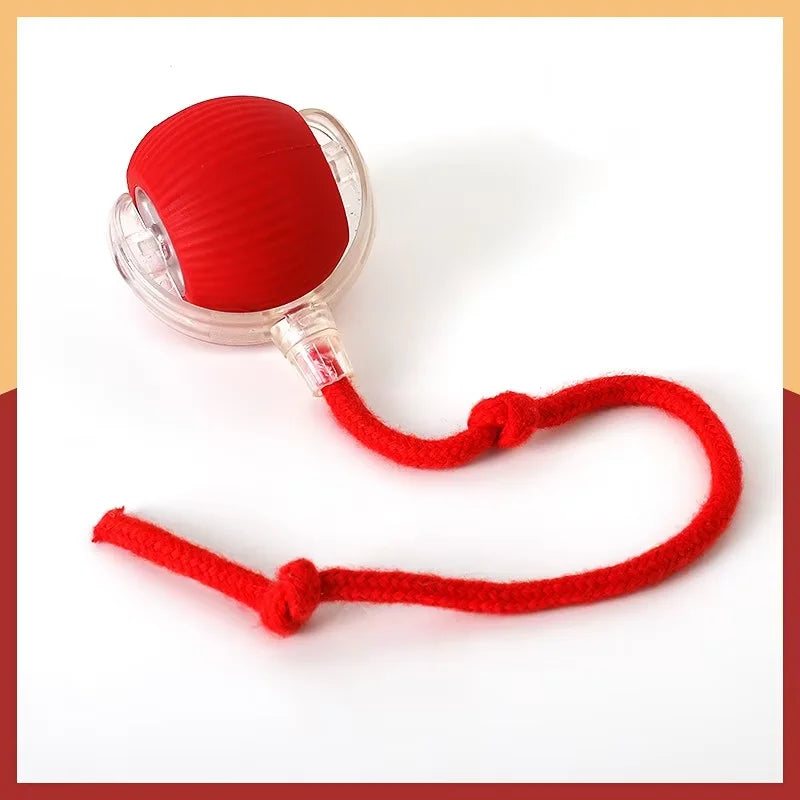 Interactive Dog Toys Usb C Rechargeable Pet Interactive Toys Electric Cats Ball Automatic Rolling Fake Tail Ball Dog &