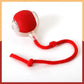 Interactive Dog Toys Usb C Rechargeable Pet Interactive Toys Electric Cats Ball Automatic Rolling Fake Tail Ball Dog &