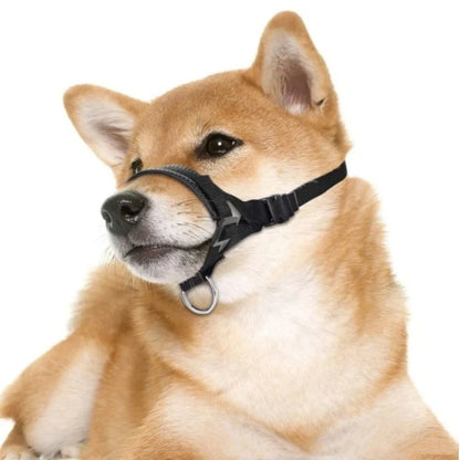 Dog Muzzle for Small Dogs – Soft Air Mesh Muzzle for Small Dog | Perfect for Barking and Biting Prevention