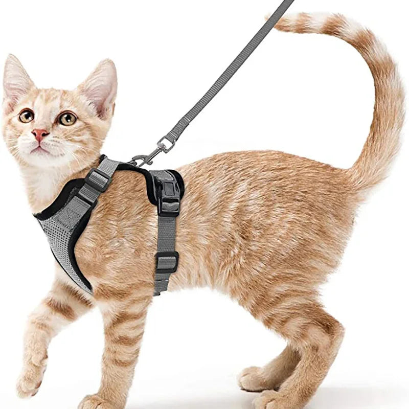 Dog Harness for Cats, Adjustable