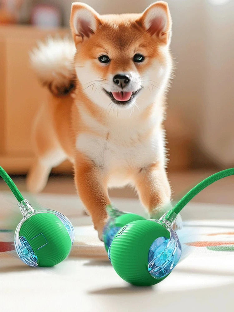 Interactive Dog Toys Usb C Rechargeable Pet Interactive Toys Electric Cats Ball Automatic Rolling Fake Tail Ball Dog &