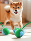 Interactive Dog Toys Usb C Rechargeable Pet Interactive Toys Electric Cats Ball Automatic Rolling Fake Tail Ball Dog &