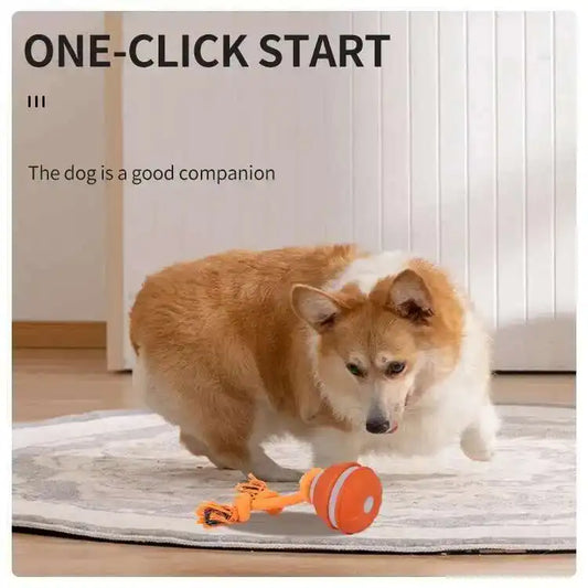 Automatic Interactive Ball Toy for Dogs