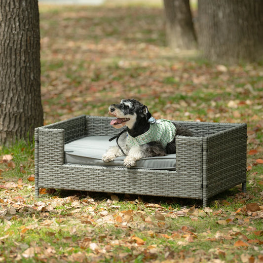 Elevated Dog Bed with Cushion PE Wicker | Fast Shipping from USA