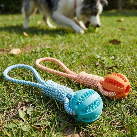 Dog Chew Toy in Rubber