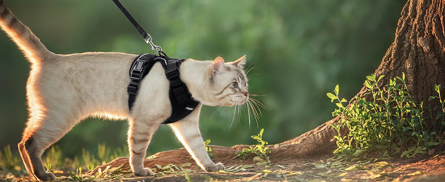 Dog Harness for Cats, Adjustable