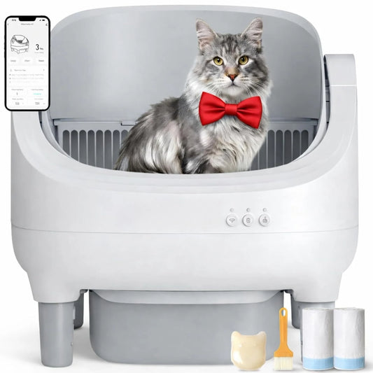 Cat Litter Box