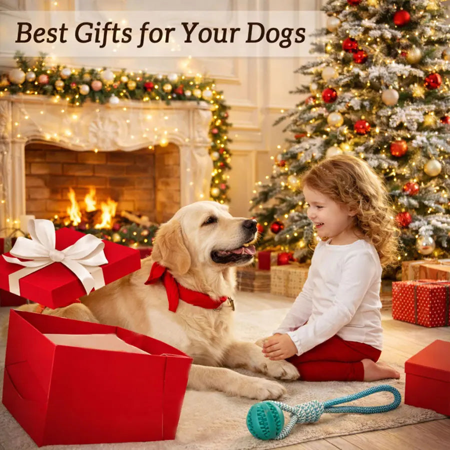 1 Pc Blue Interactive Dog Tug Rope | Fast Shipping from USA