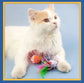 Toys False Mouse In Rat Cage Ball For Pet Cat Kitten Cat Toys