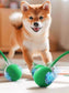 Interactive Dog Toys Usb C Rechargeable Pet Interactive Toys Electric Cats Ball Automatic Rolling Fake Tail Ball Dog &