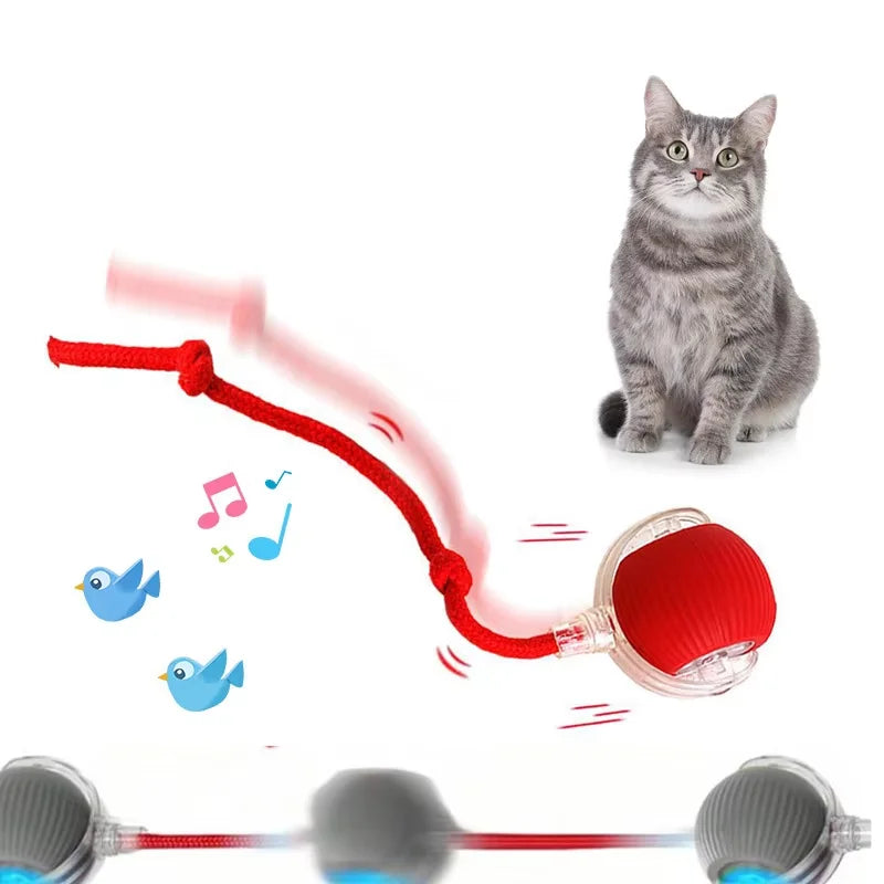 Interactive Dog Toys Usb C Rechargeable Pet Interactive Toys Electric Cats Ball Automatic Rolling Fake Tail Ball Dog &