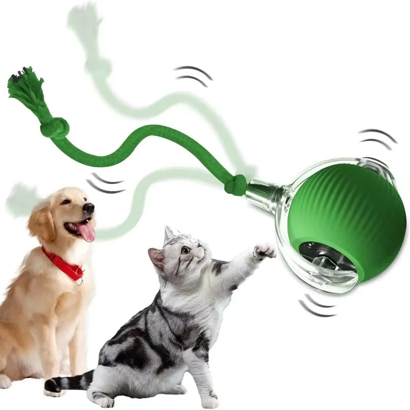 Interactive Dog Toys Usb C Rechargeable Pet Interactive Toys Electric Cats Ball Automatic Rolling Fake Tail Ball Dog &