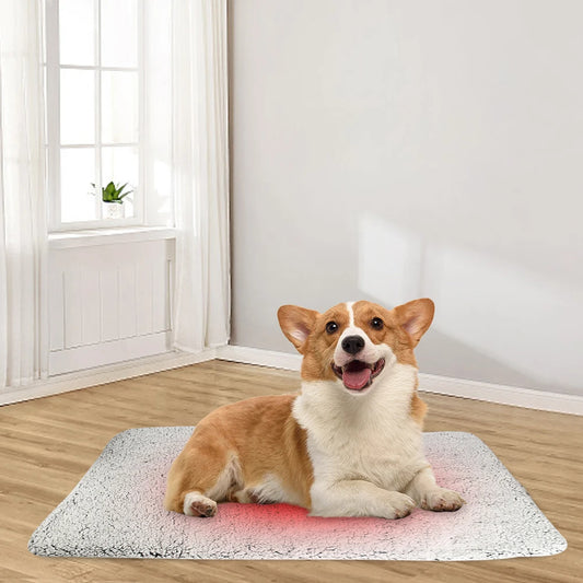 Self-Warming Dog Bed Mat No Electricity Washable - Premium Quality - Durable Des | Fast Shipping from USA
