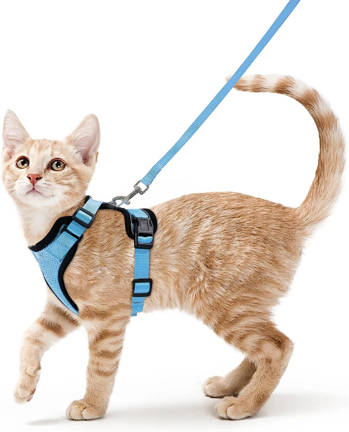 Dog Harness for Cats, Adjustable