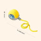 Interactive Dog Toys Usb C Rechargeable Pet Interactive Toys Electric Cats Ball Automatic Rolling Fake Tail Ball Dog &