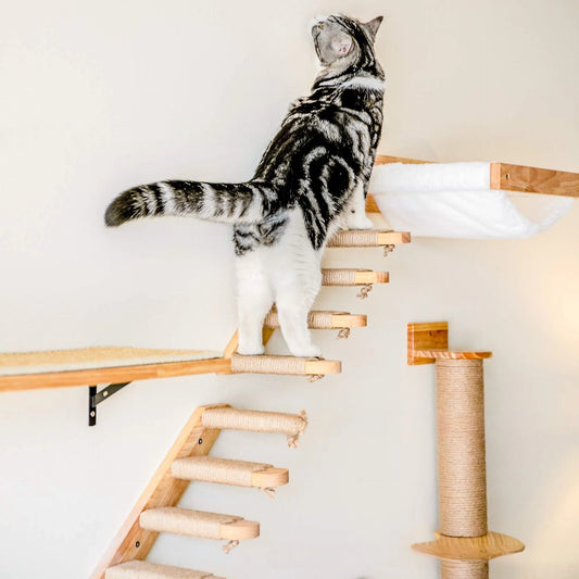 Large Wall-Mounted Wooden Dog & Cat Climbing Ladder - Premium Quality - Durable  | Fast Shipping from USA