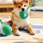Interactive Dog Toys Usb C Rechargeable Pet Interactive Toys Electric Cats Ball Automatic Rolling Fake Tail Ball Dog &