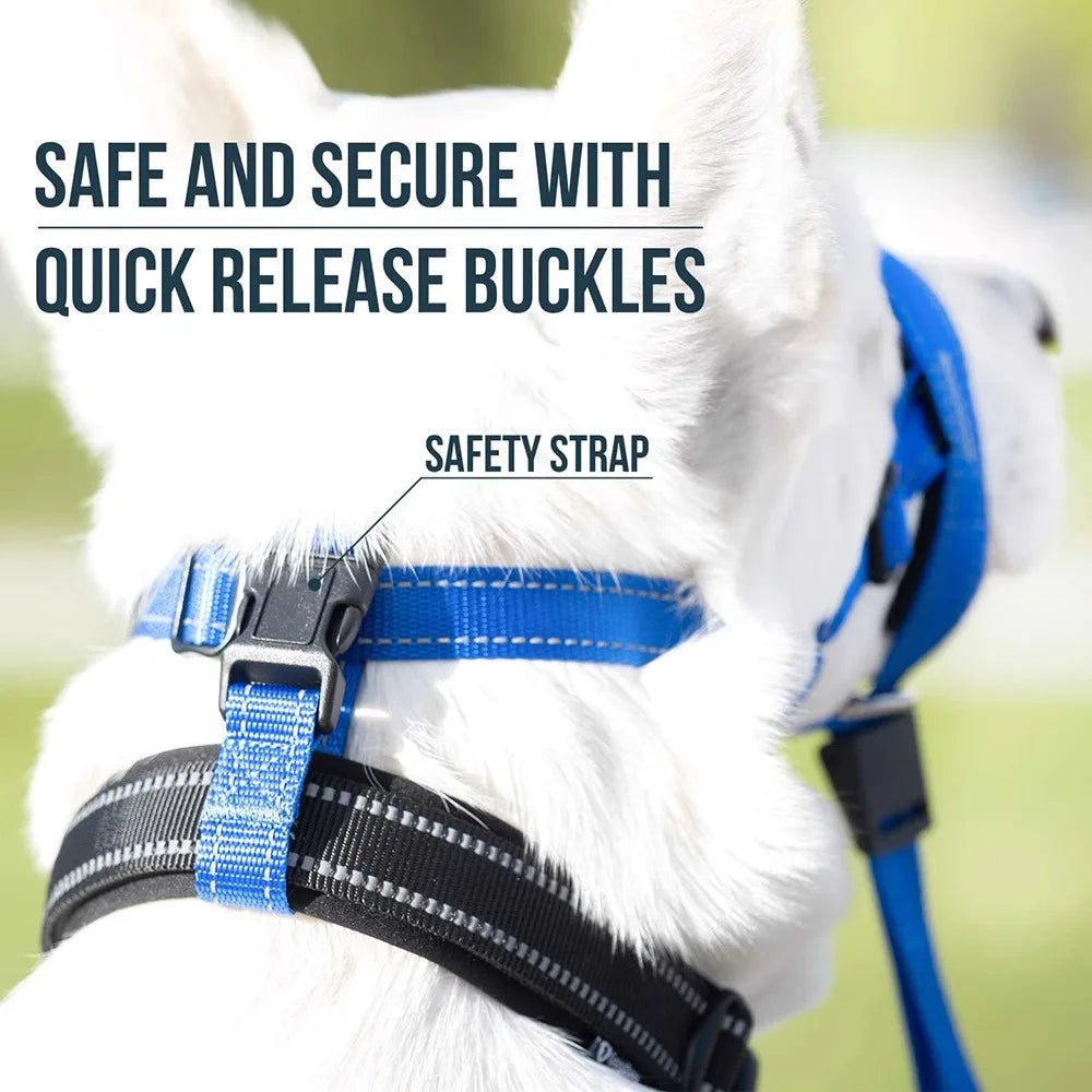 New Nylon Portable Dog Muzzle Rope, Dog Cage Head Anti-Bite Pet Large Dog Mask, Pet factory Wholesale