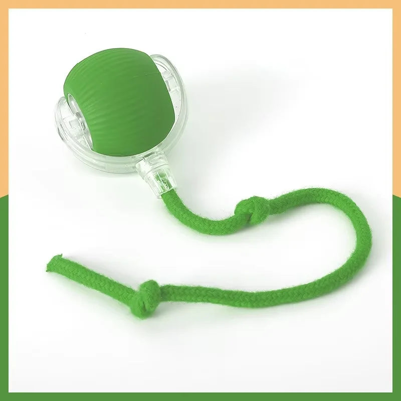 Interactive Dog Toys Usb C Rechargeable Pet Interactive Toys Electric Cats Ball Automatic Rolling Fake Tail Ball Dog &