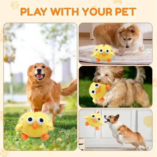 Interactive Ball Toy for Dogs