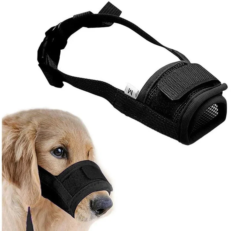 All Dogs