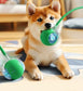 Interactive Dog Toys Usb C Rechargeable Pet Interactive Toys Electric Cats Ball Automatic Rolling Fake Tail Ball Dog &