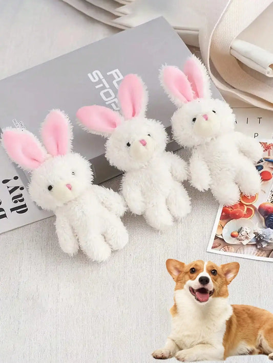 Squeaky Plush Dog Toy