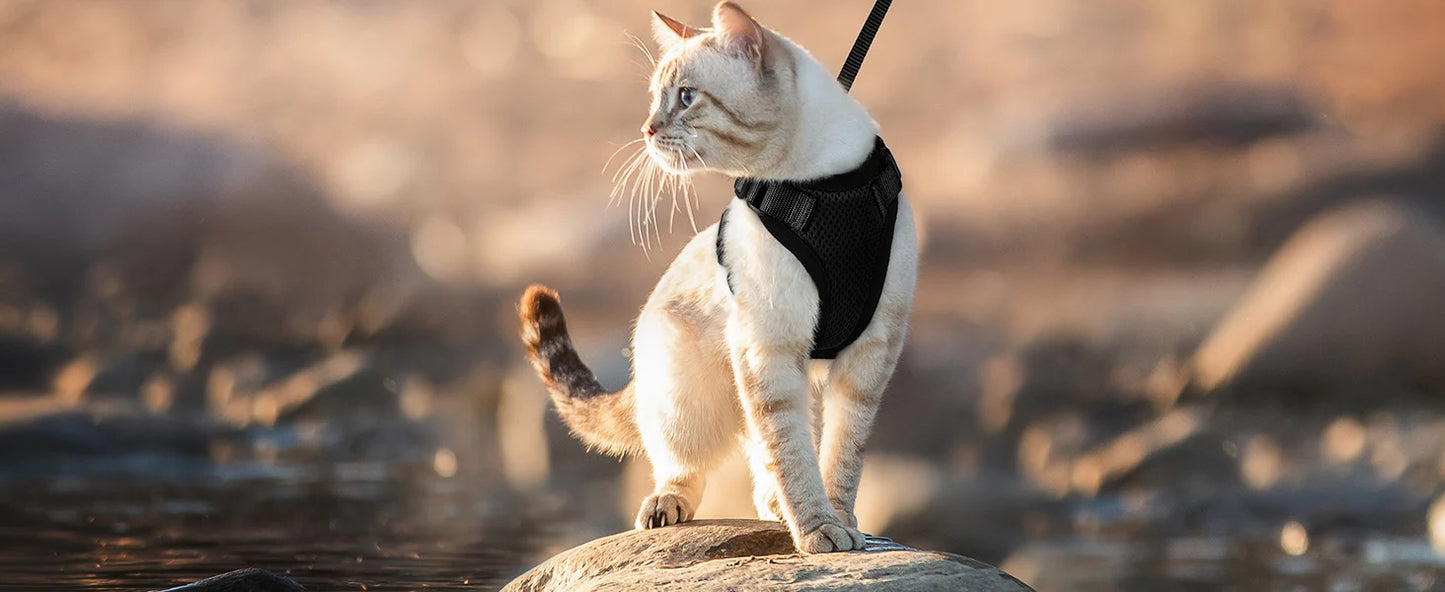 Dog Harness for Cats, Adjustable