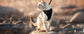 Dog Harness for Cats, Adjustable