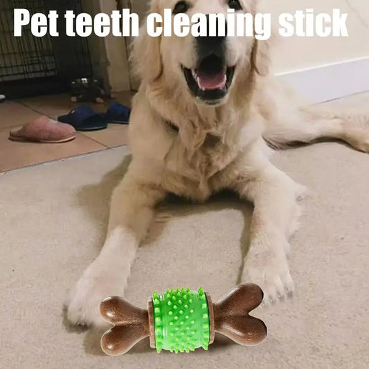 Dog Chew Toy