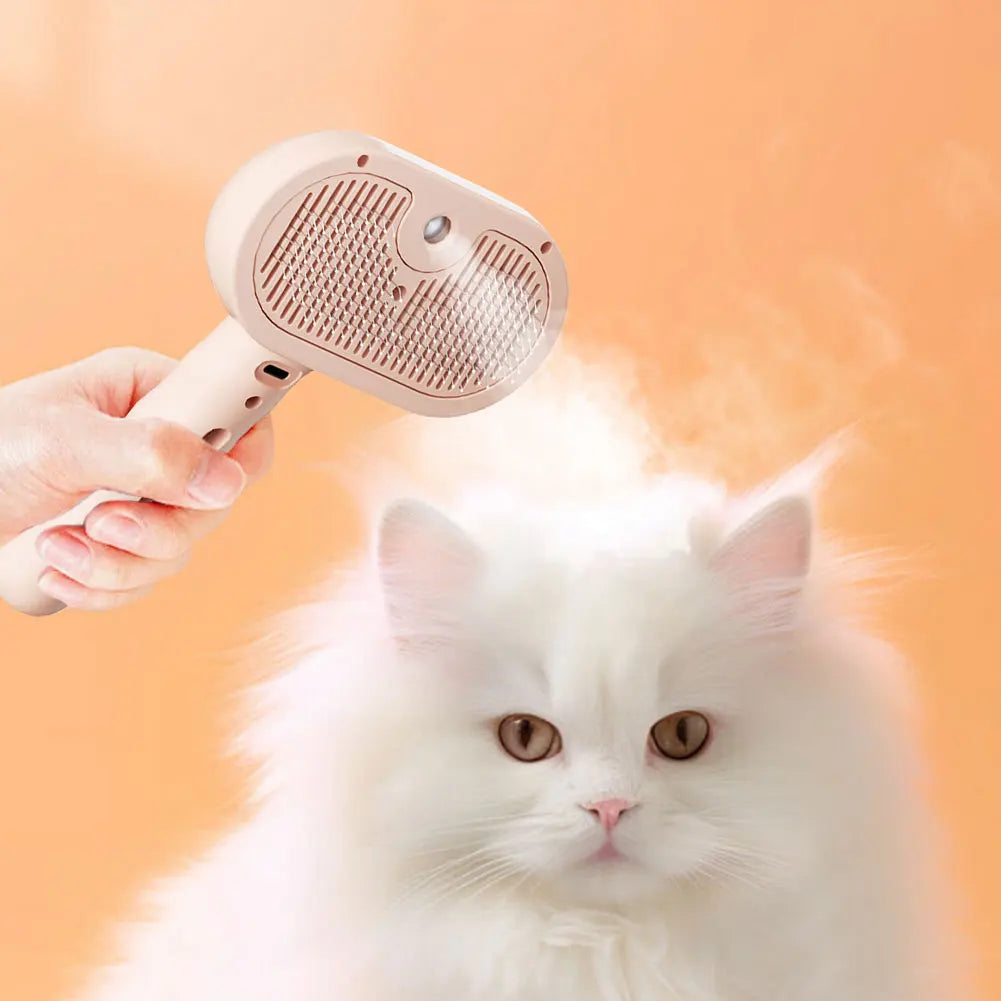 Cat Grooming