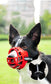 Reflect Light Dog Mouth Guard Cover Comfy Breathable Basket Muzzle Against Biting Barking Dog Mask Anti-barking Muzzle For Pets